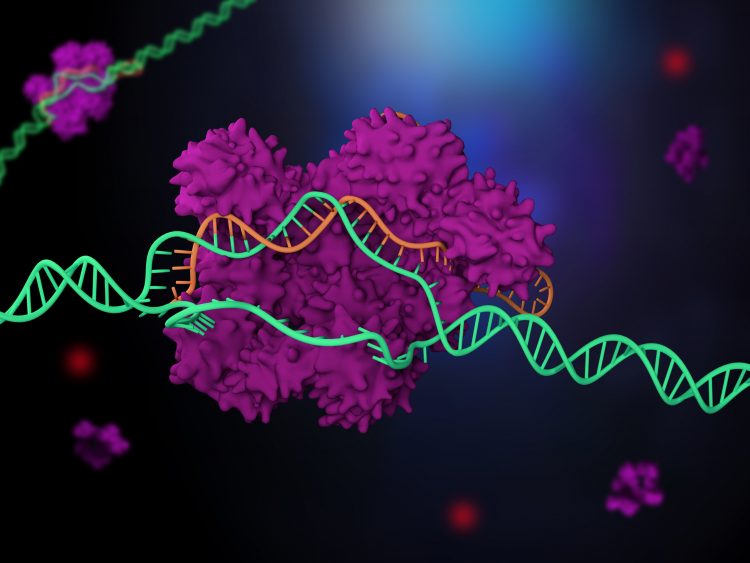 Så Funkar Crispr Vetenskap Och Hälsa 