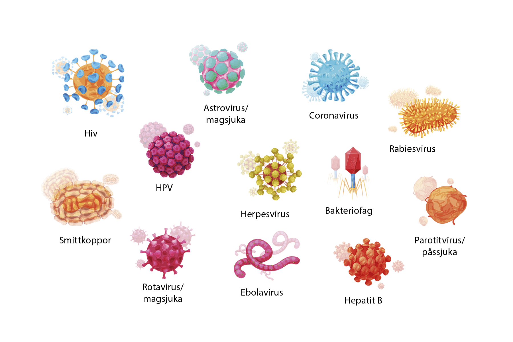 Virus – svåra att kontrollera – Vetenskap och Hälsa